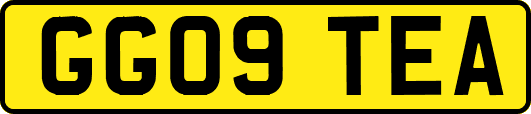GG09TEA