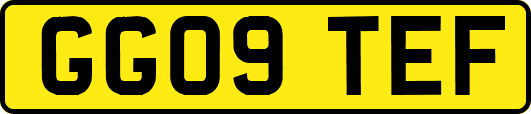 GG09TEF