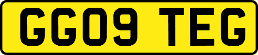 GG09TEG