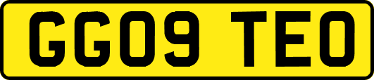 GG09TEO
