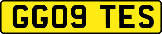GG09TES
