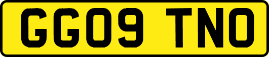 GG09TNO