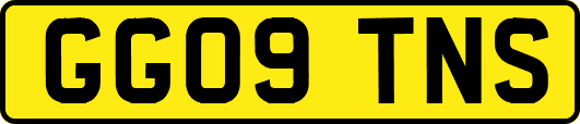 GG09TNS
