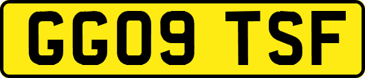 GG09TSF