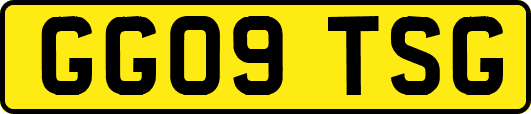 GG09TSG