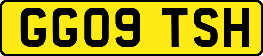 GG09TSH
