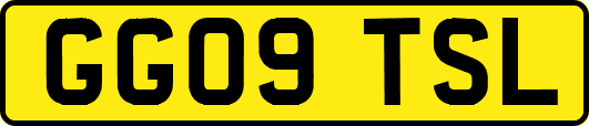 GG09TSL