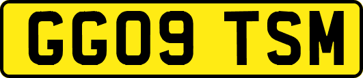 GG09TSM