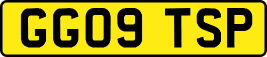 GG09TSP