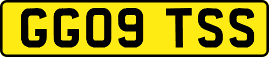 GG09TSS