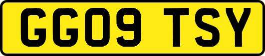 GG09TSY