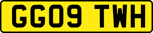 GG09TWH