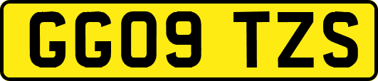 GG09TZS