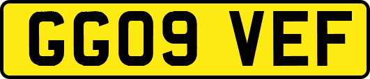 GG09VEF
