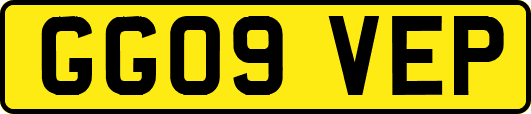 GG09VEP