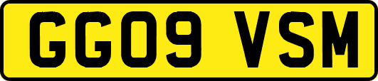 GG09VSM