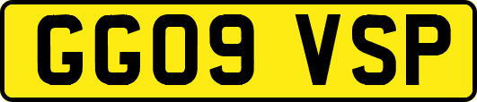 GG09VSP