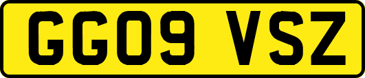 GG09VSZ