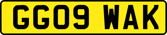 GG09WAK