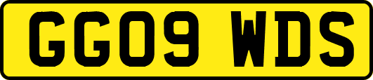 GG09WDS