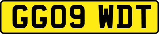 GG09WDT