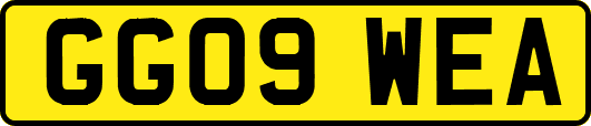 GG09WEA