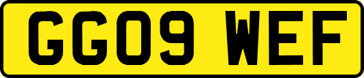 GG09WEF