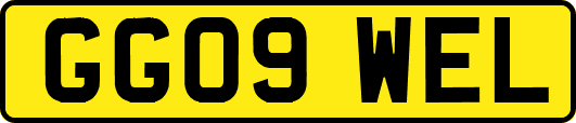 GG09WEL