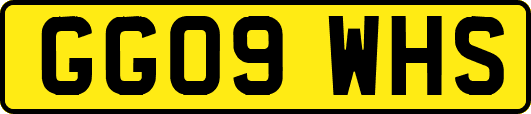 GG09WHS