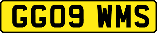 GG09WMS
