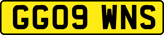 GG09WNS