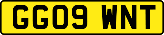 GG09WNT