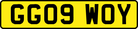 GG09WOY