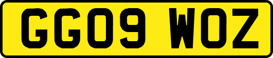 GG09WOZ