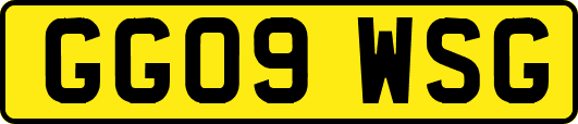 GG09WSG
