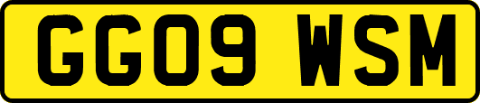 GG09WSM