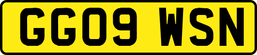 GG09WSN