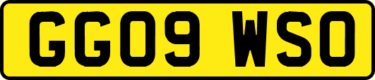 GG09WSO