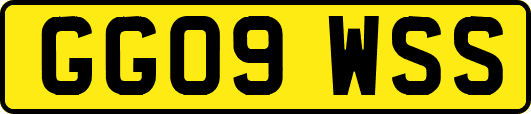 GG09WSS