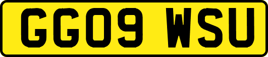 GG09WSU