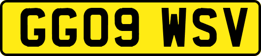 GG09WSV