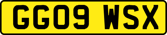 GG09WSX