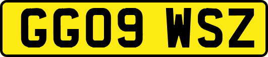 GG09WSZ