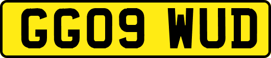 GG09WUD