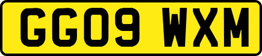 GG09WXM