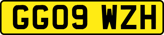 GG09WZH