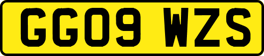 GG09WZS