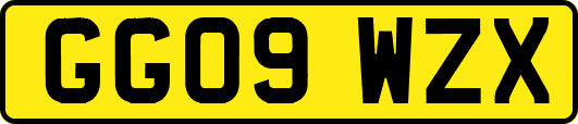 GG09WZX