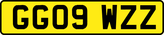 GG09WZZ