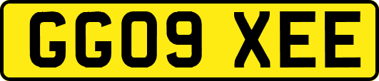GG09XEE